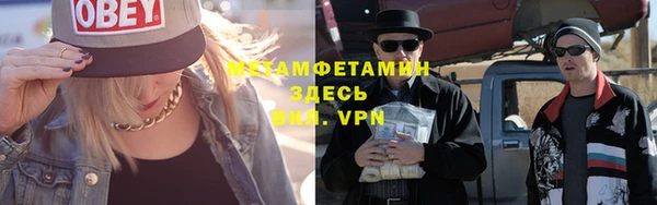 индика Козельск