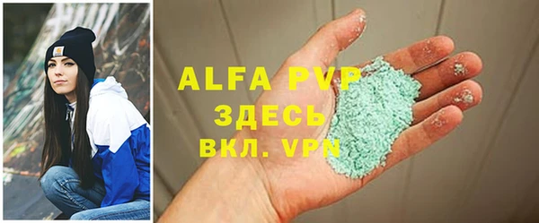 индика Козельск