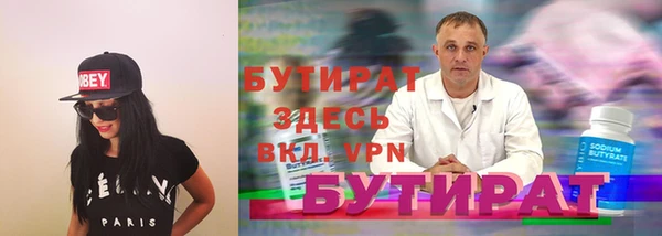индика Козельск