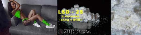 индика Козельск