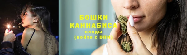 индика Кодинск