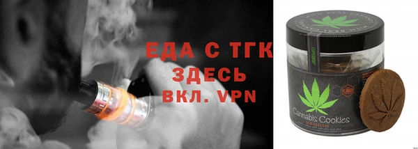 индика Козельск