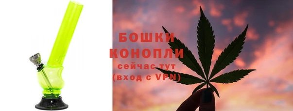 индика Кодинск