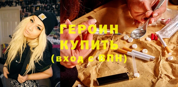 индика Козельск