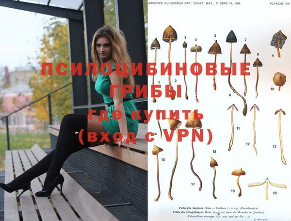 spice Корсаков