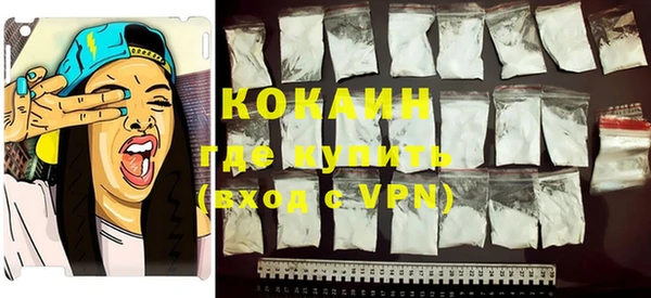индика Кодинск