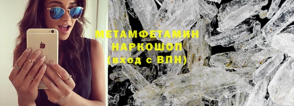 индика Козельск