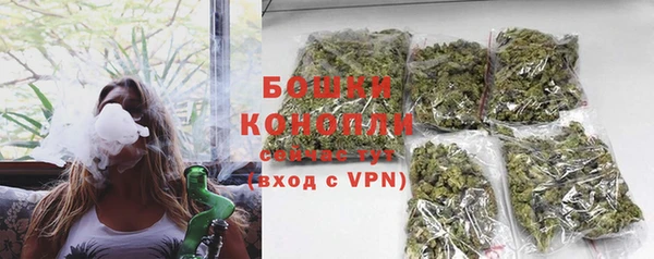 индика Козельск