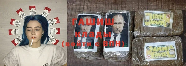 индика Козельск