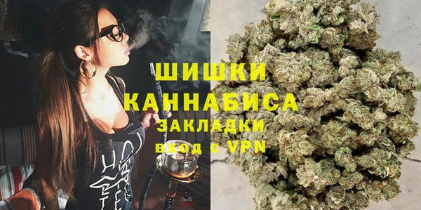 индика Козельск