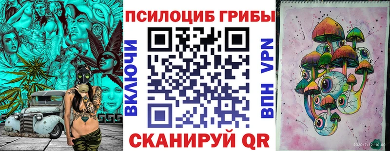 Купить Добрянка Псилоцибиновые грибы Cubensis